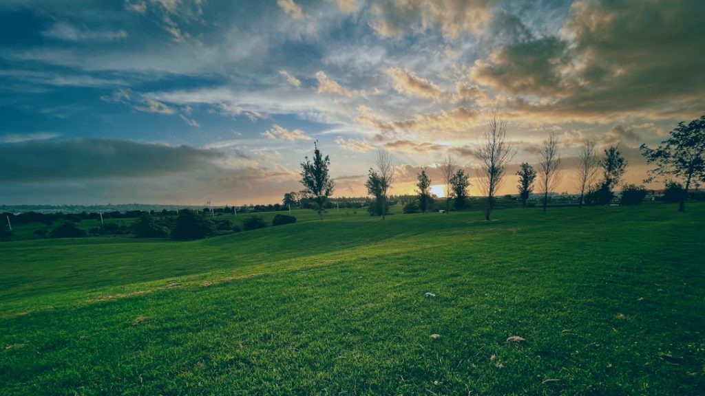 De mooiste winterharde struiken met bloemen voor elke tuin